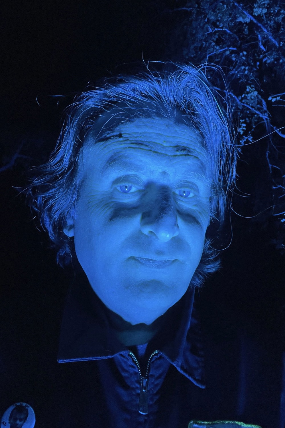 Foto de Gregg Turkington