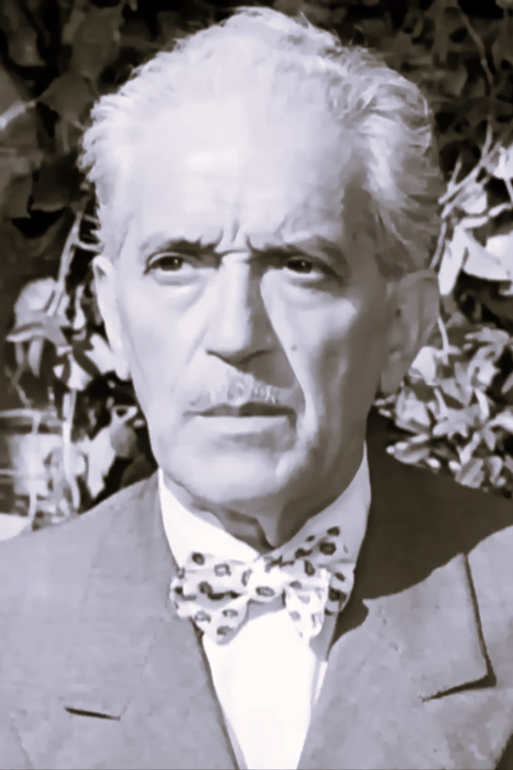 Foto de Raimondo Van Riel