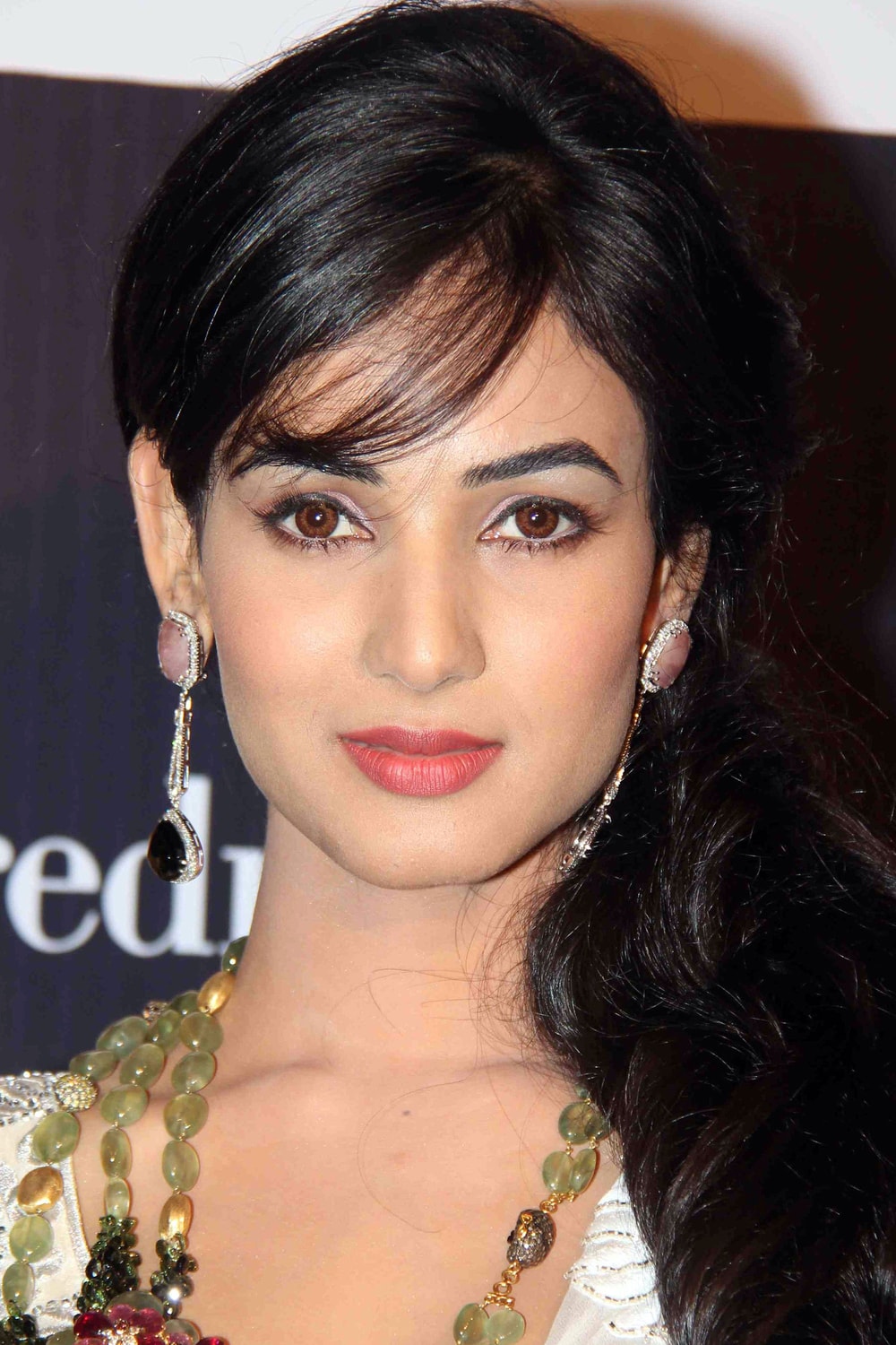 Foto de Sonal Chauhan