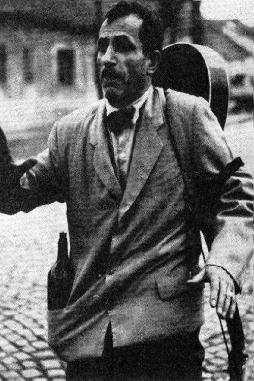 Foto de Nikola Milić