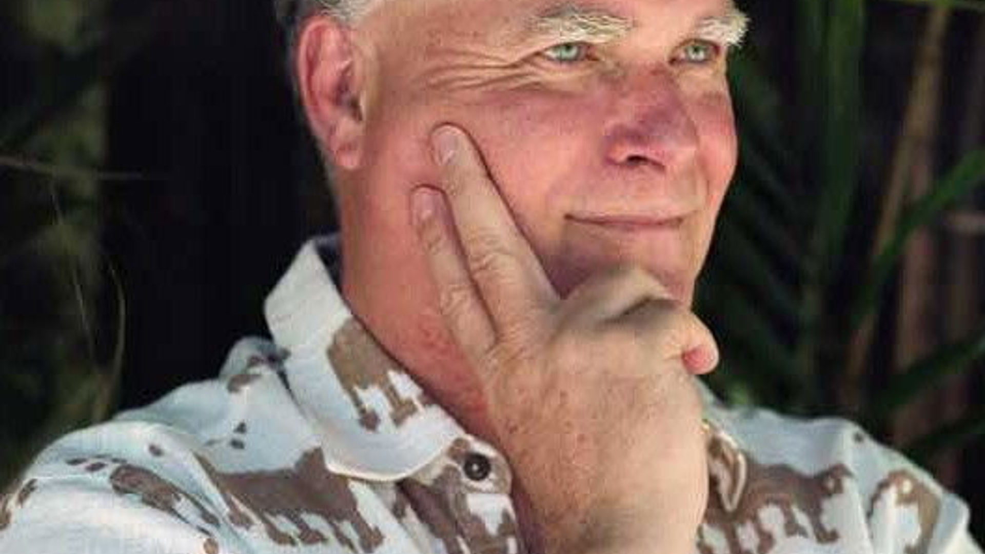 Foto de David Irving