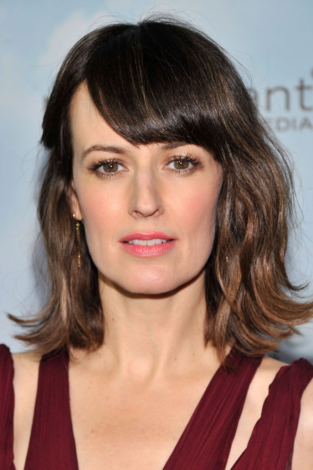 Foto de Rosemarie DeWitt