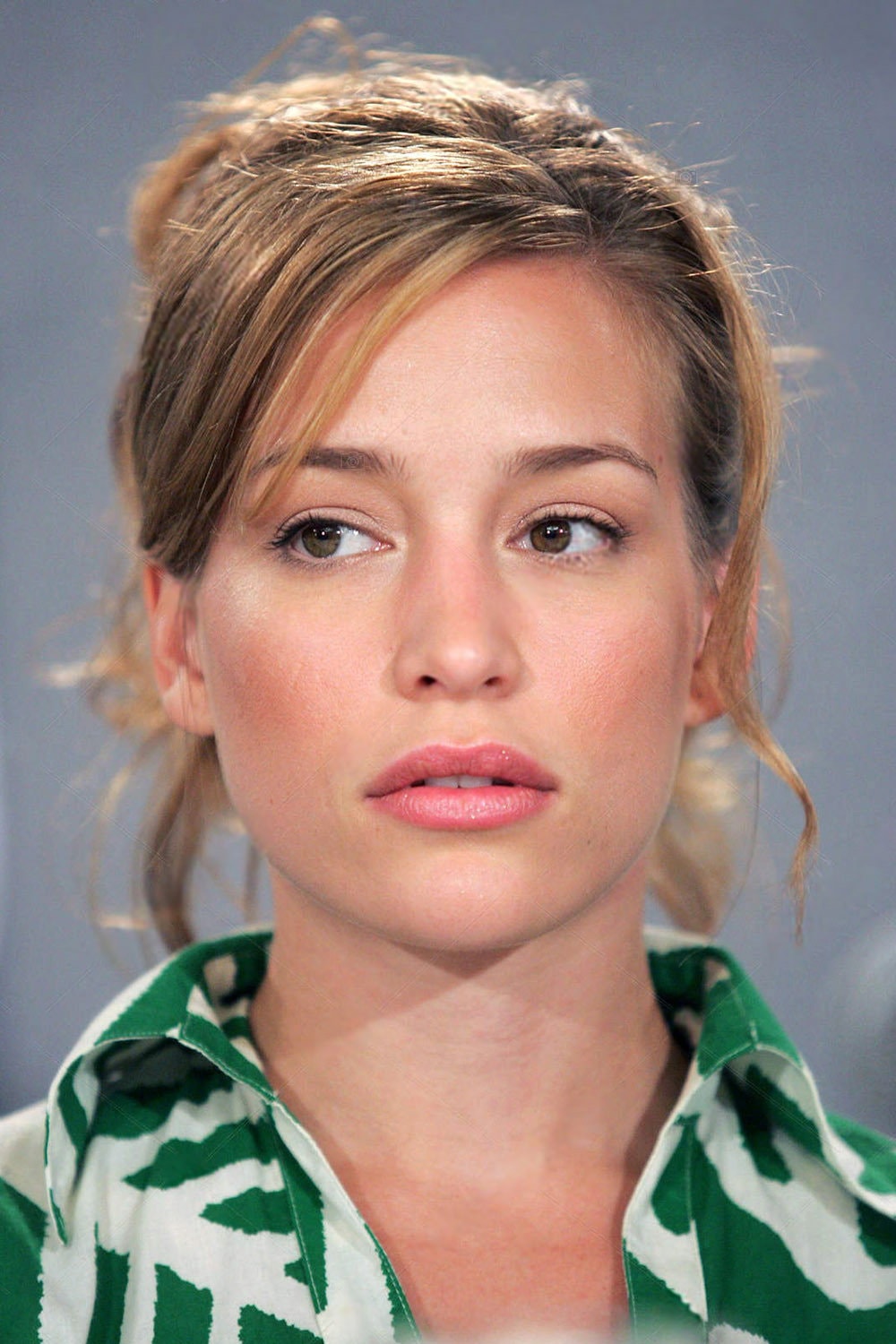 Foto de Piper Perabo