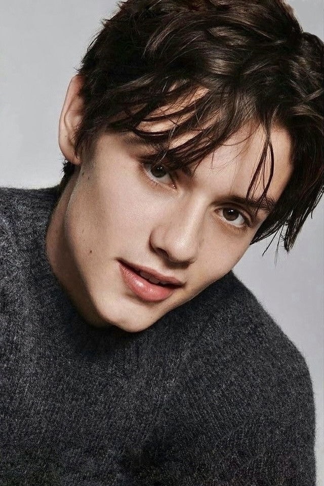 Foto de Louis Partridge