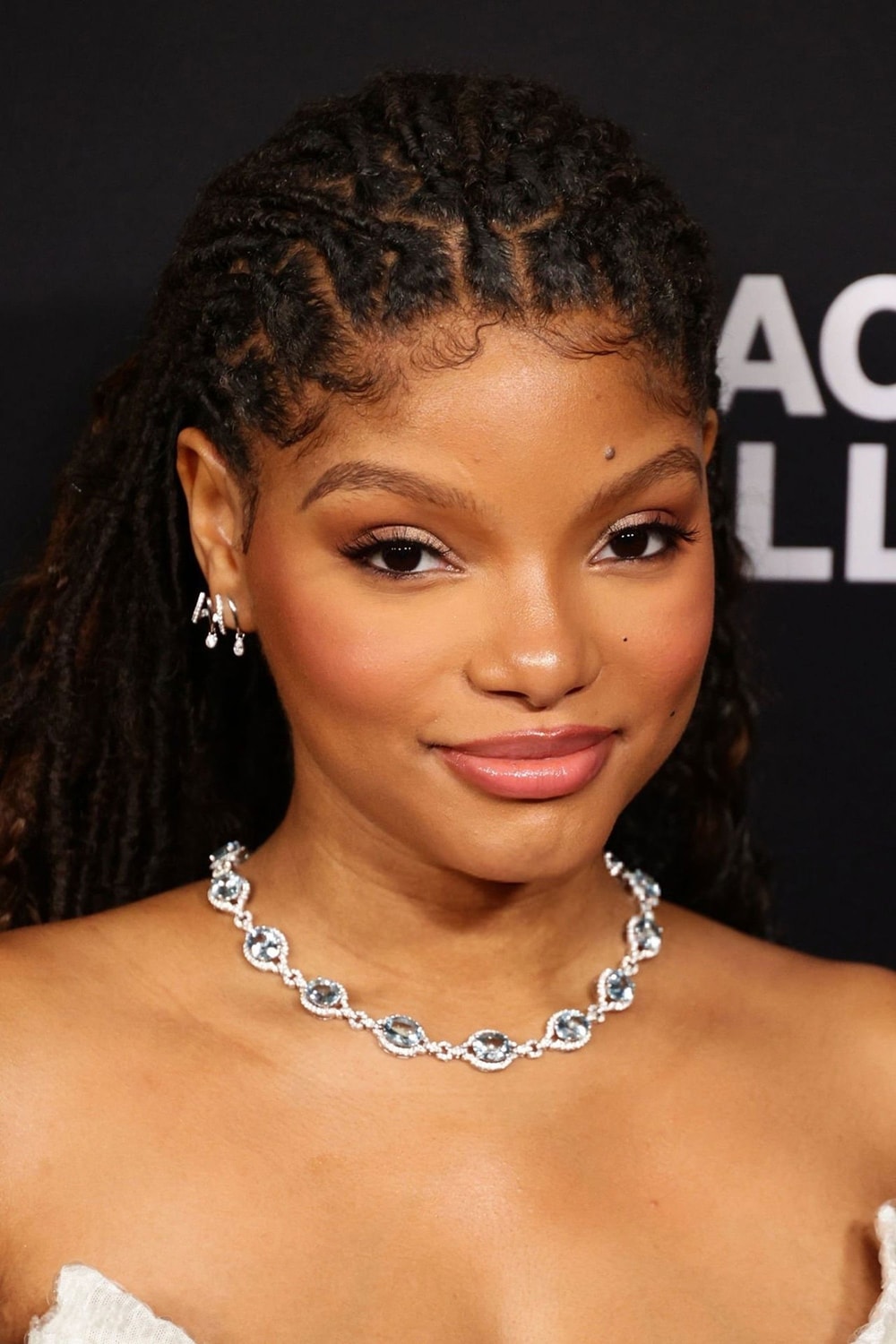 Foto de Halle Bailey