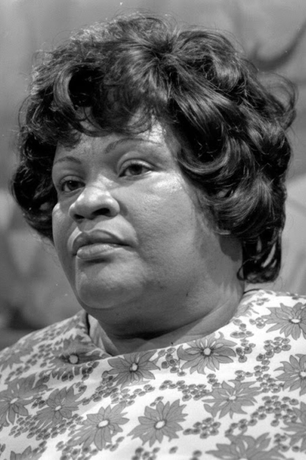 Foto de Zeni Pereira