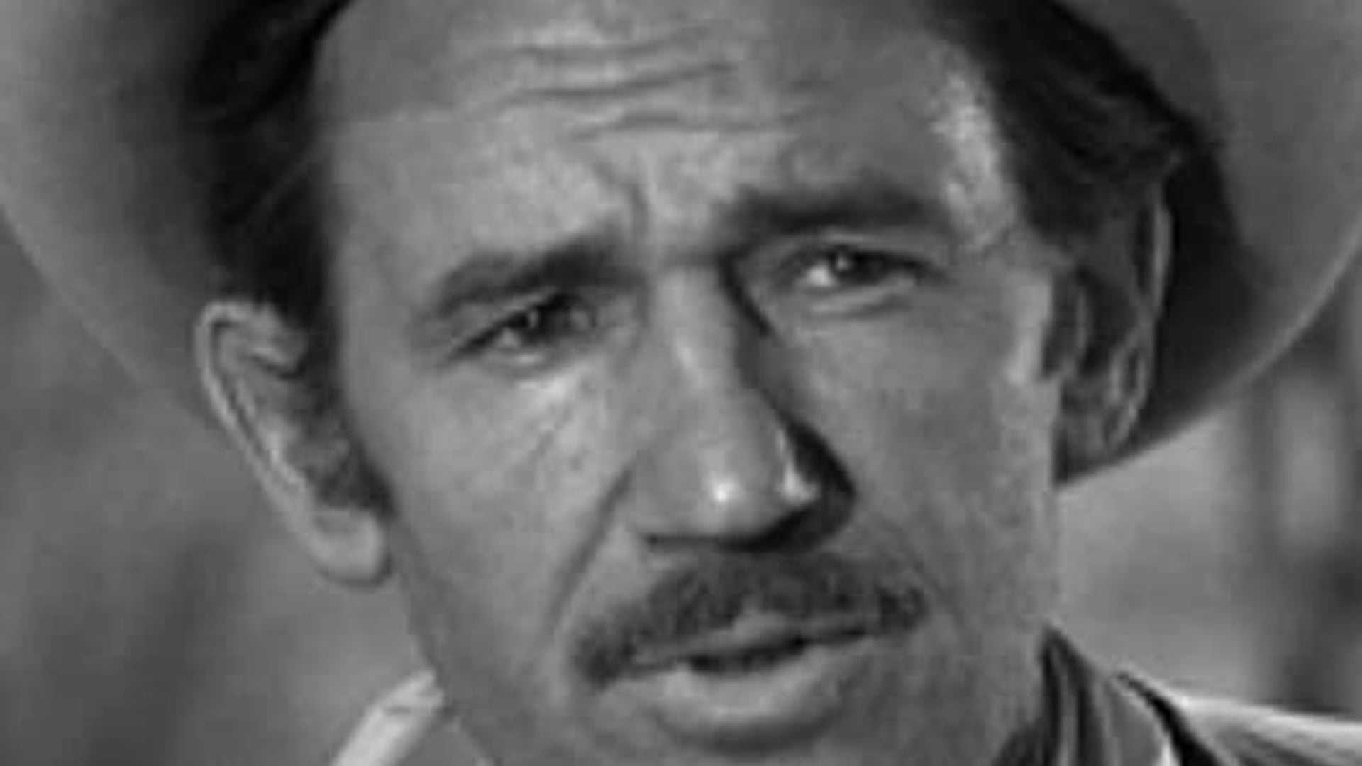 Foto de Steve Raines