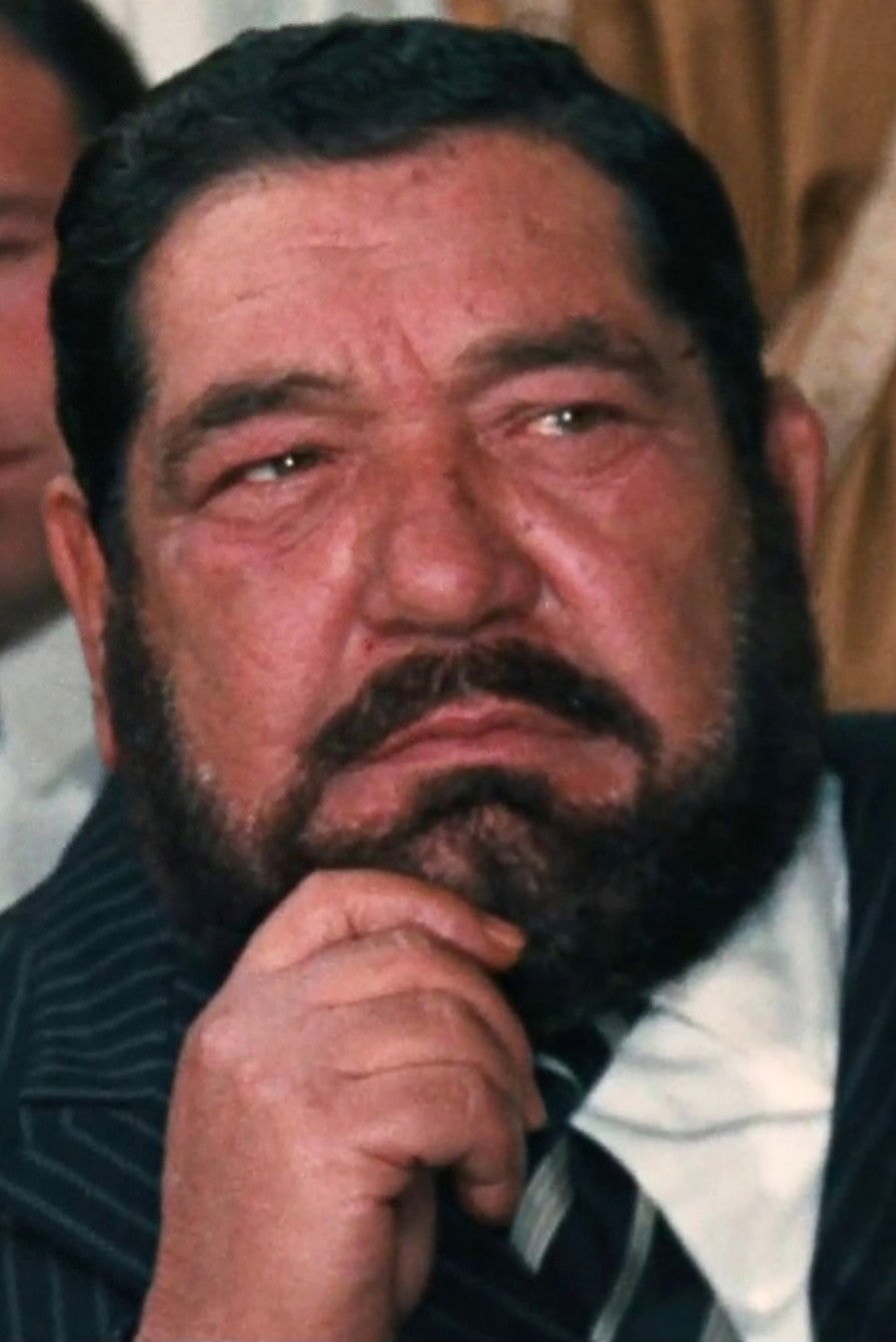 Foto de Amerigo Santarelli