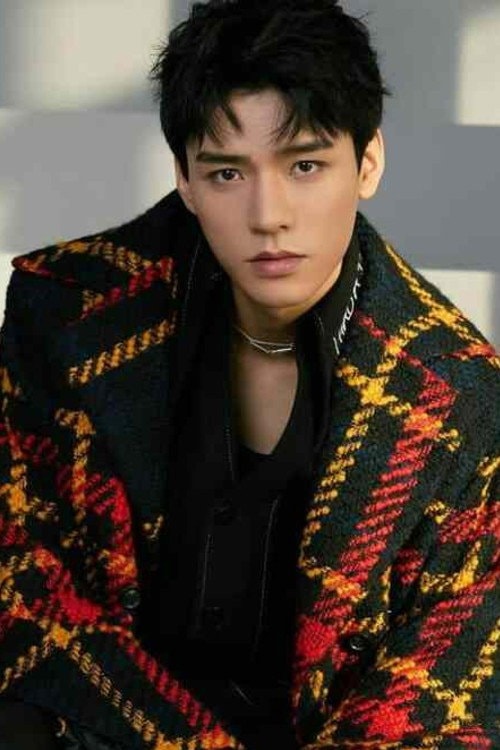 Foto de Gong Jun