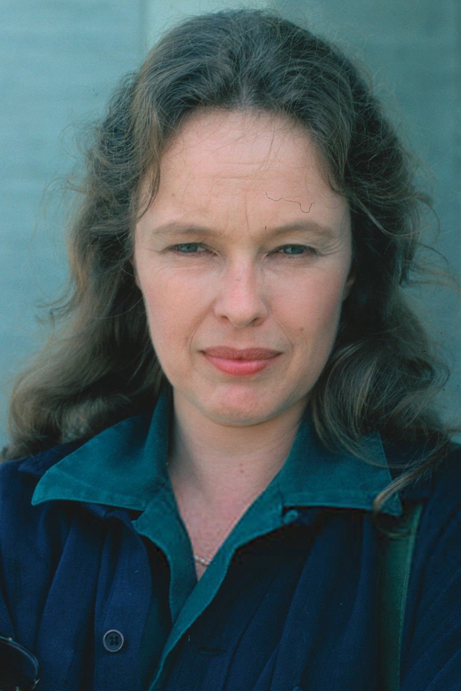 Foto de Sandy Dennis