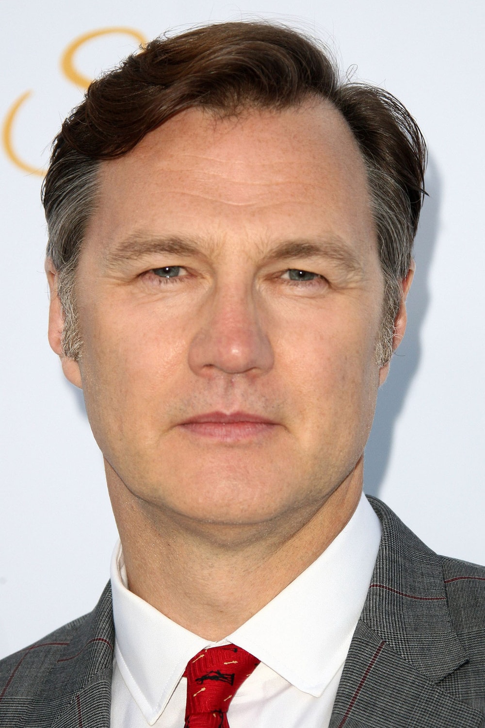 Foto de David Morrissey