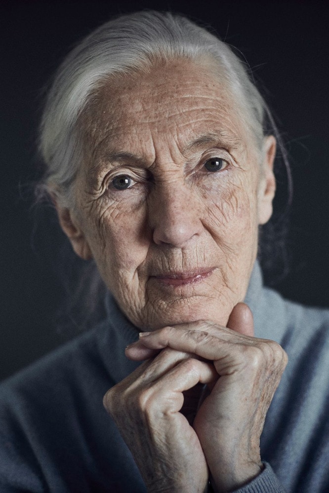 Foto de Jane Goodall