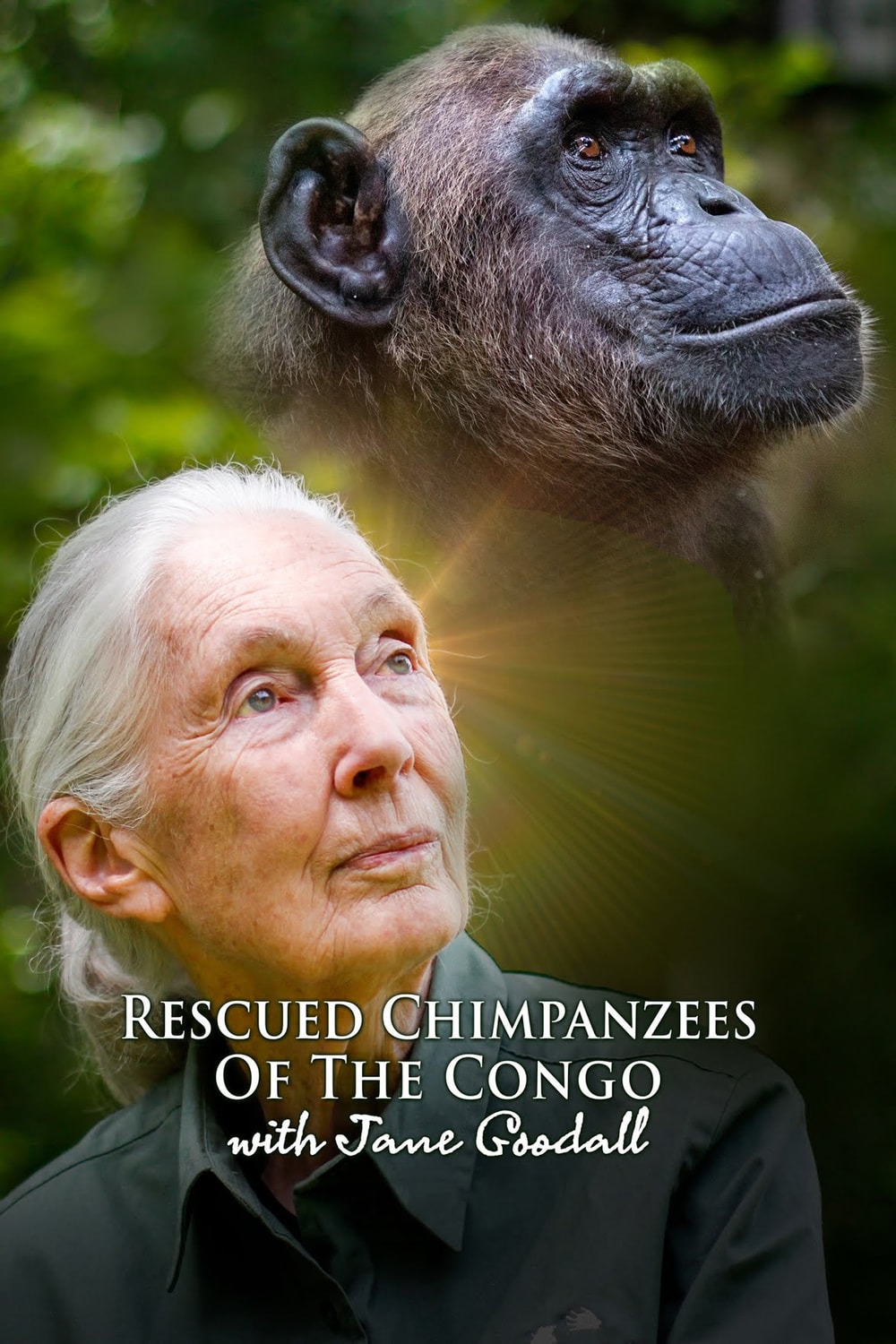 Foto de Jane Goodall