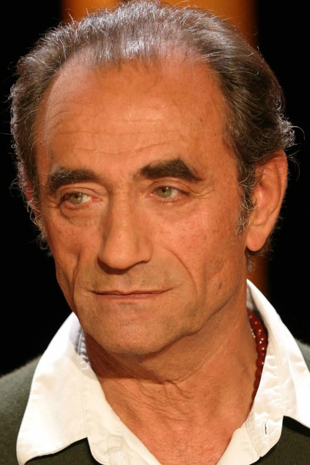 Foto de Richard Bohringer