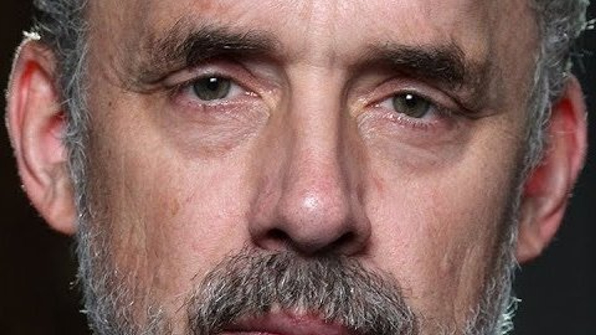 Foto de Jordan B. Peterson