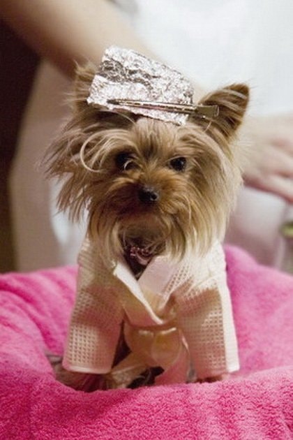 Foto de Manly "Little Pickles" Ortega