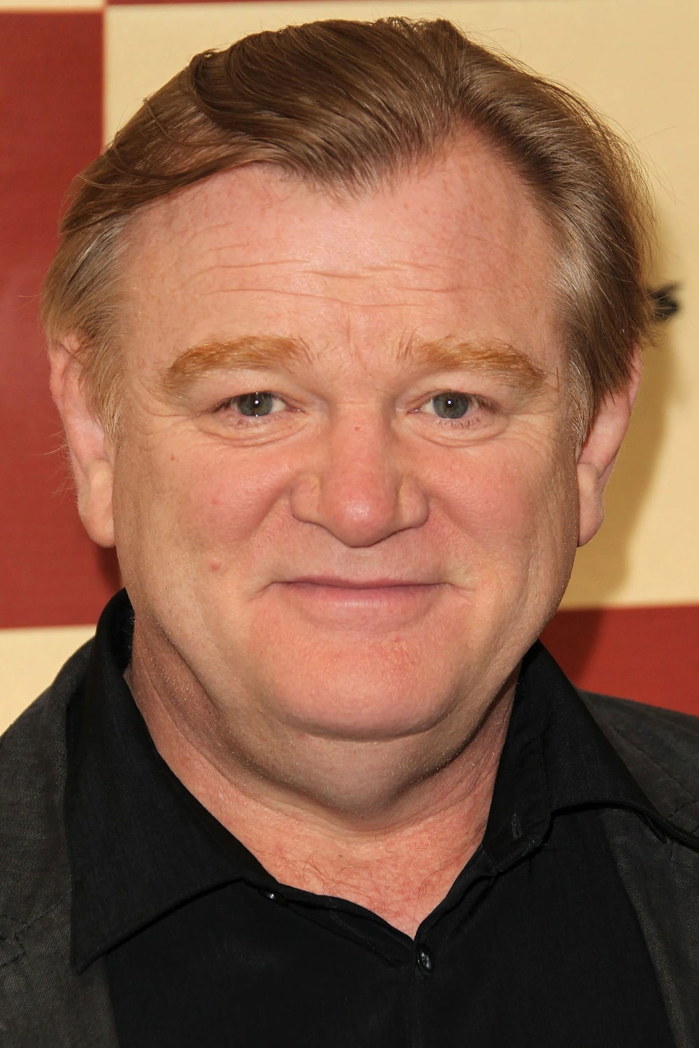 Foto de Brendan Gleeson