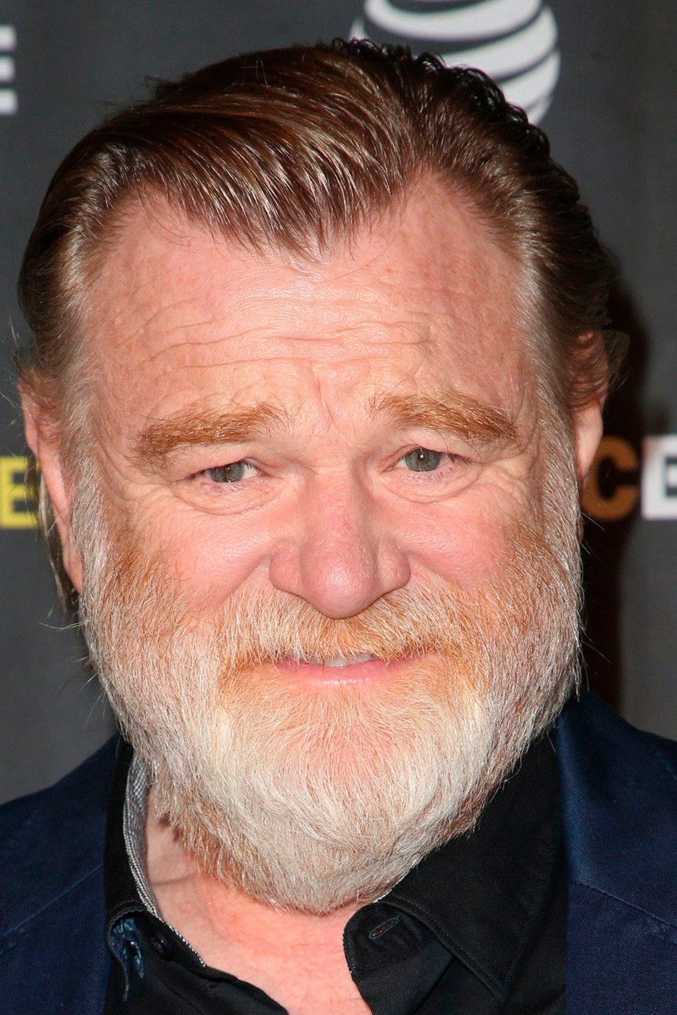 Foto de Brendan Gleeson