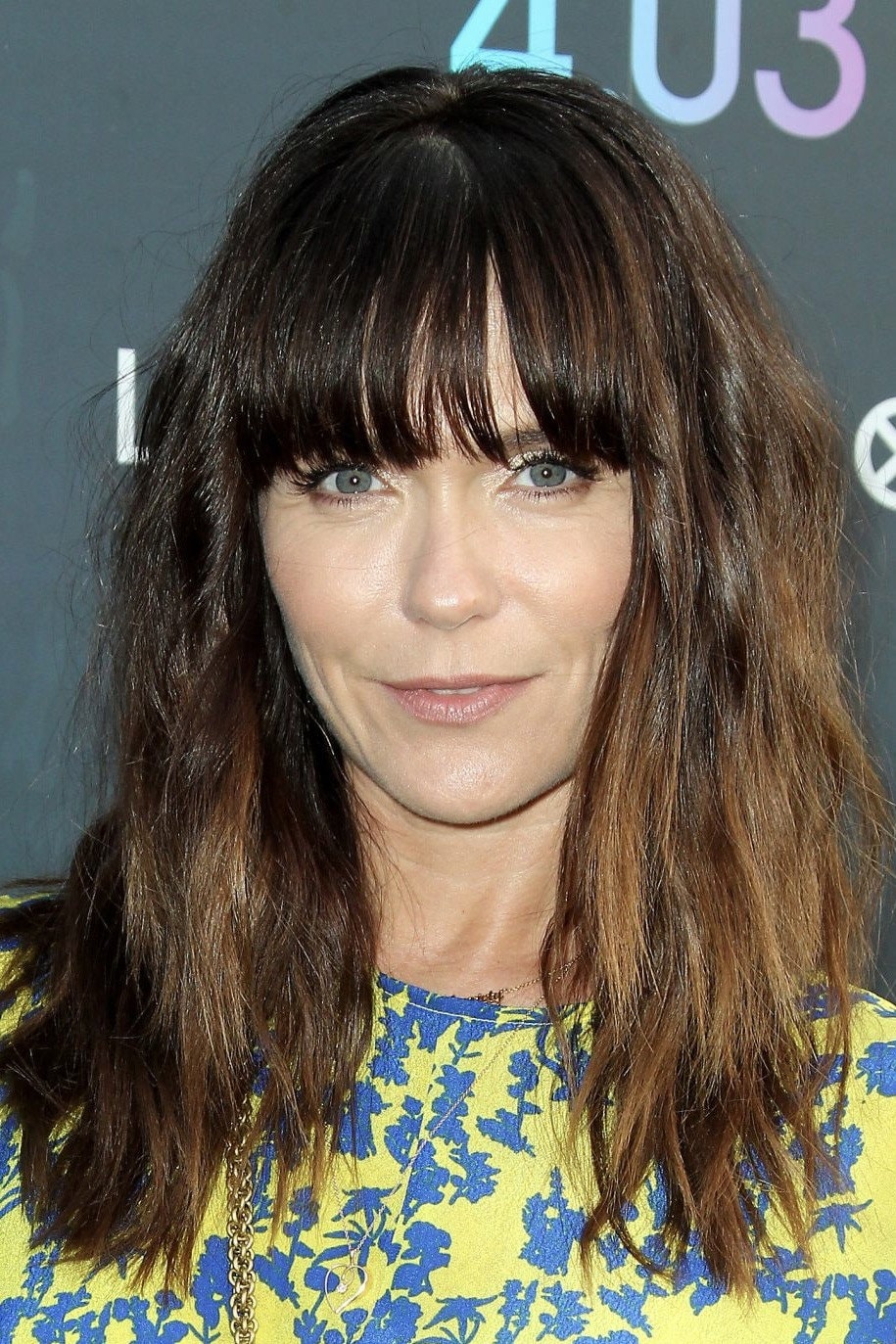 Foto de Katie Aselton