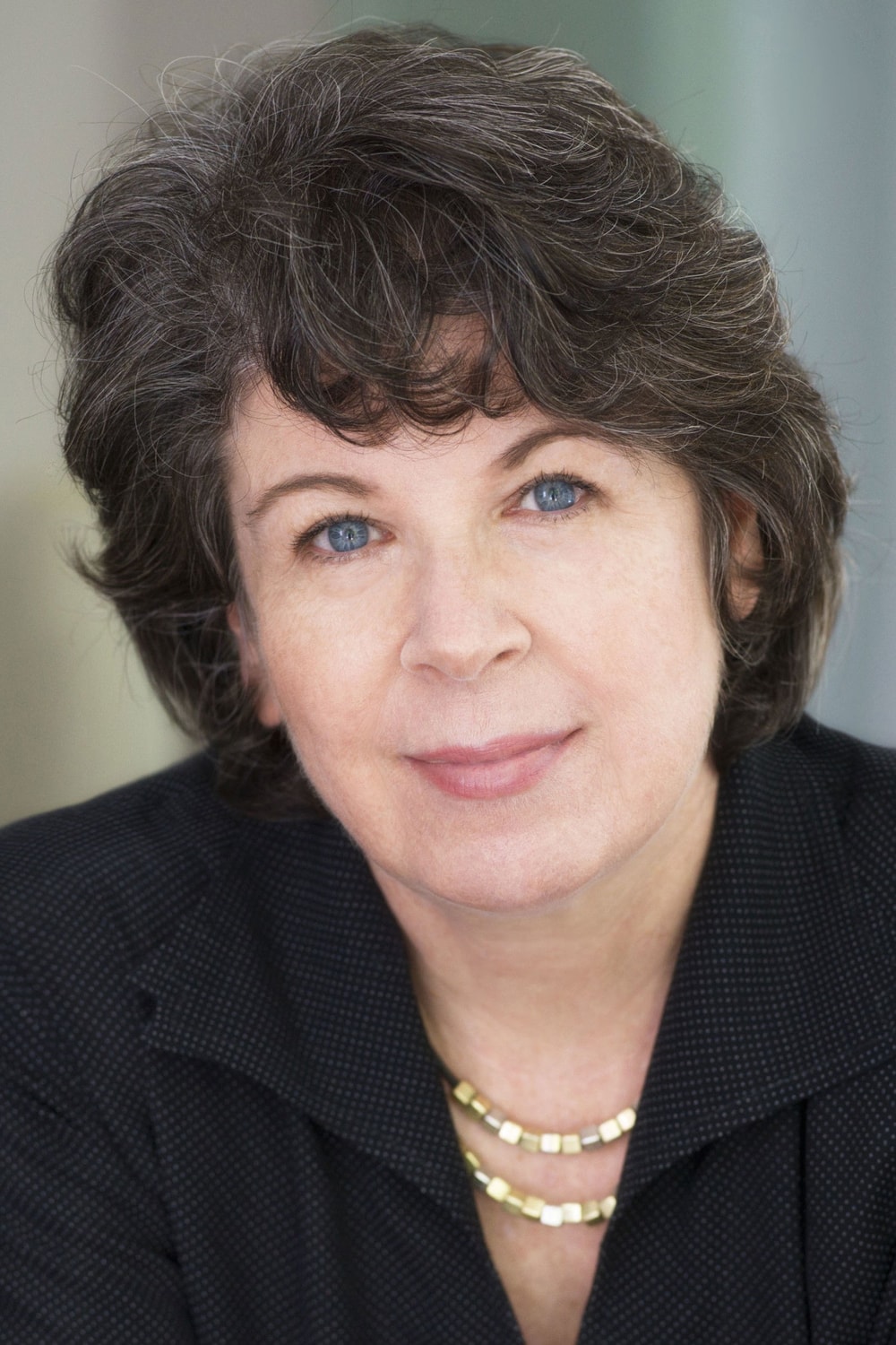 Foto de Meg Wolitzer