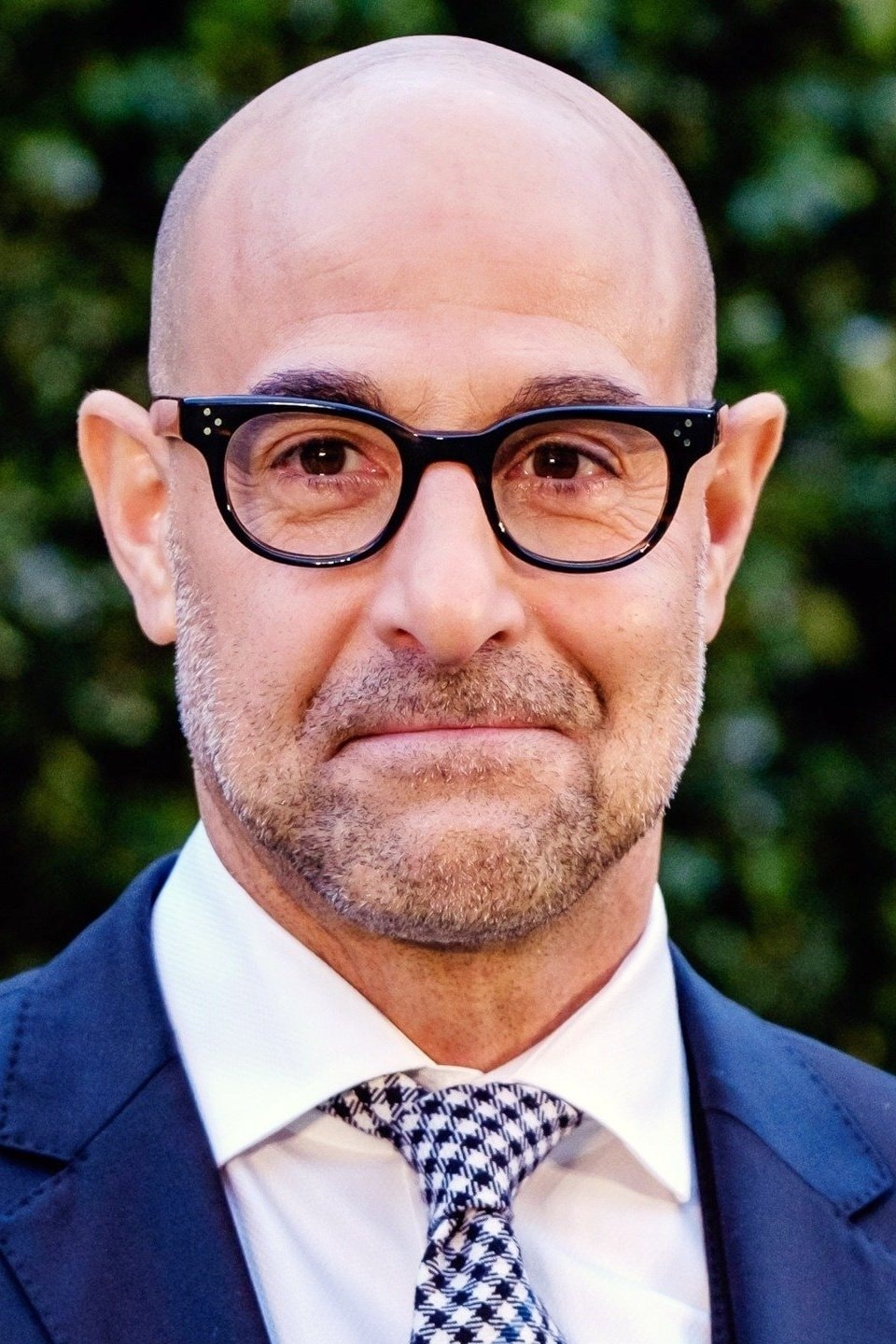 Foto de Stanley Tucci