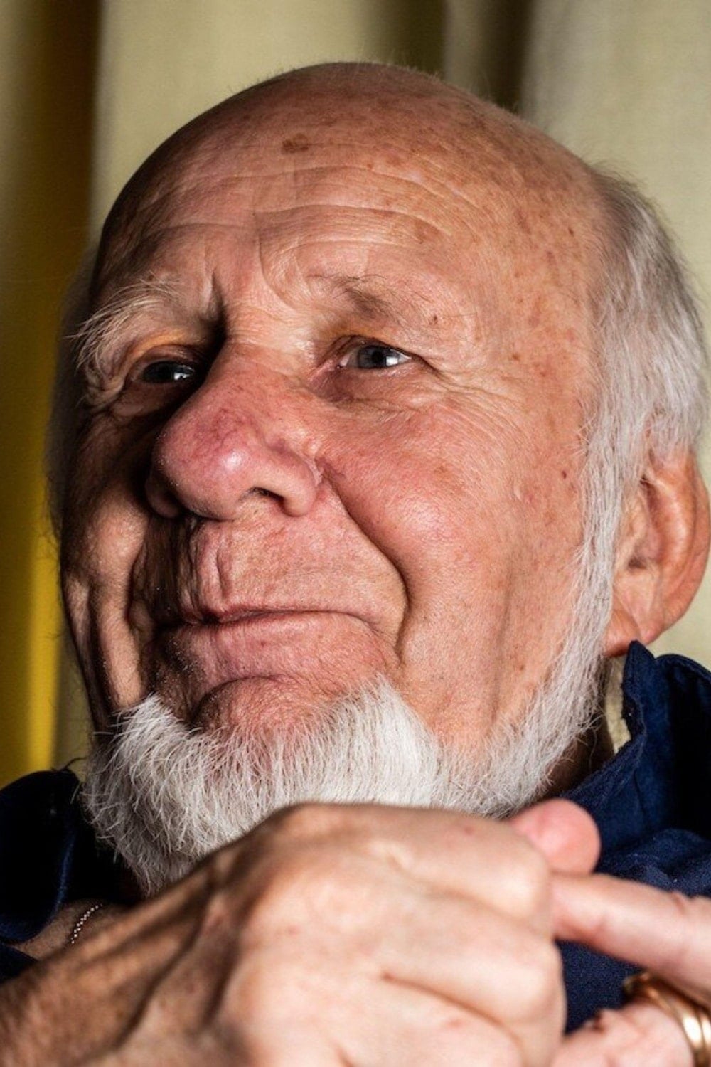 Foto de Ternovszky Béla