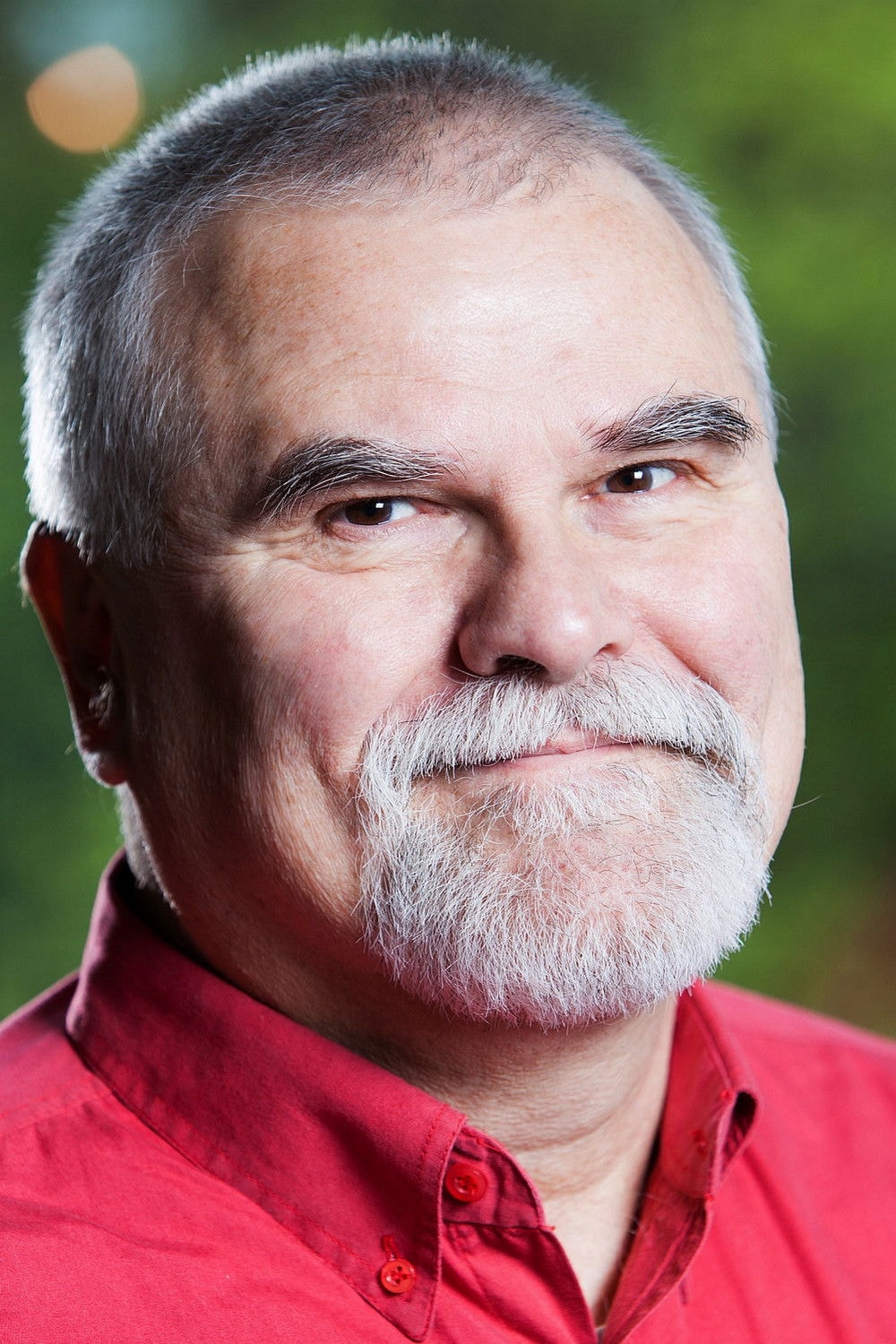 Foto de Pálfi Zoltán