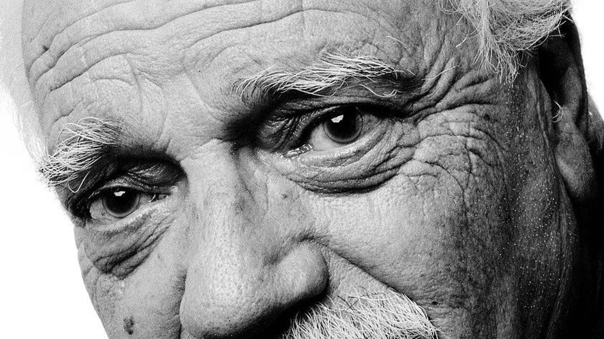 Foto de Walmor Chagas