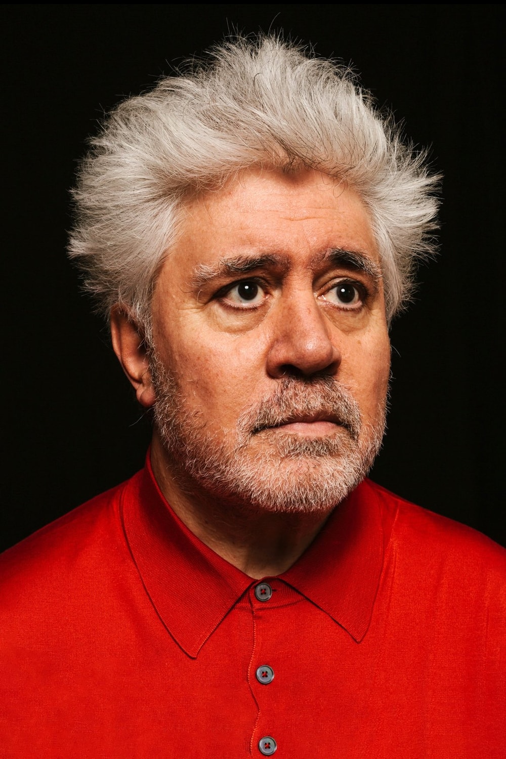 Foto de Pedro Almodóvar
