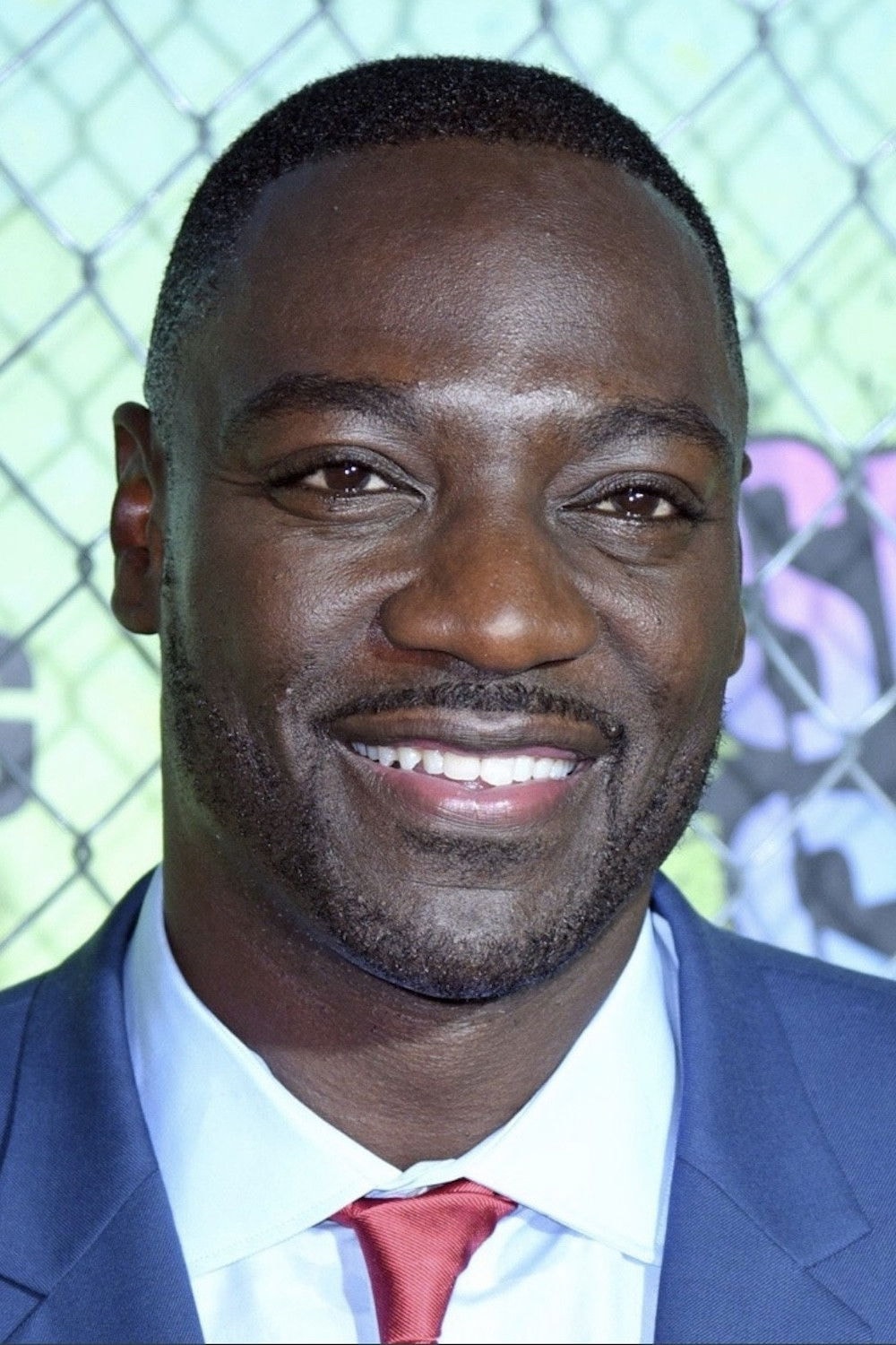 Foto de Adewale Akinnuoye-Agbaje