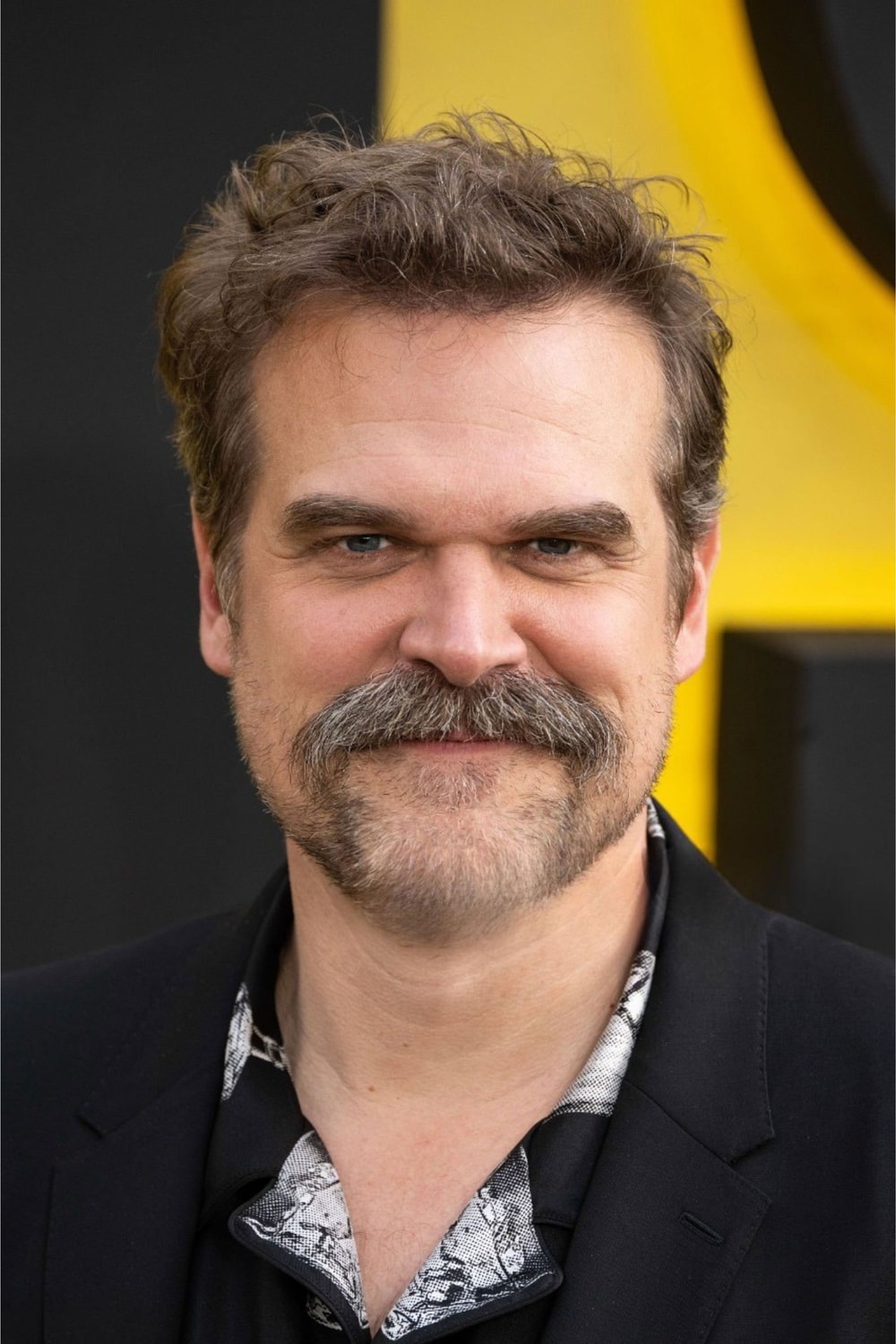 Foto de David Harbour