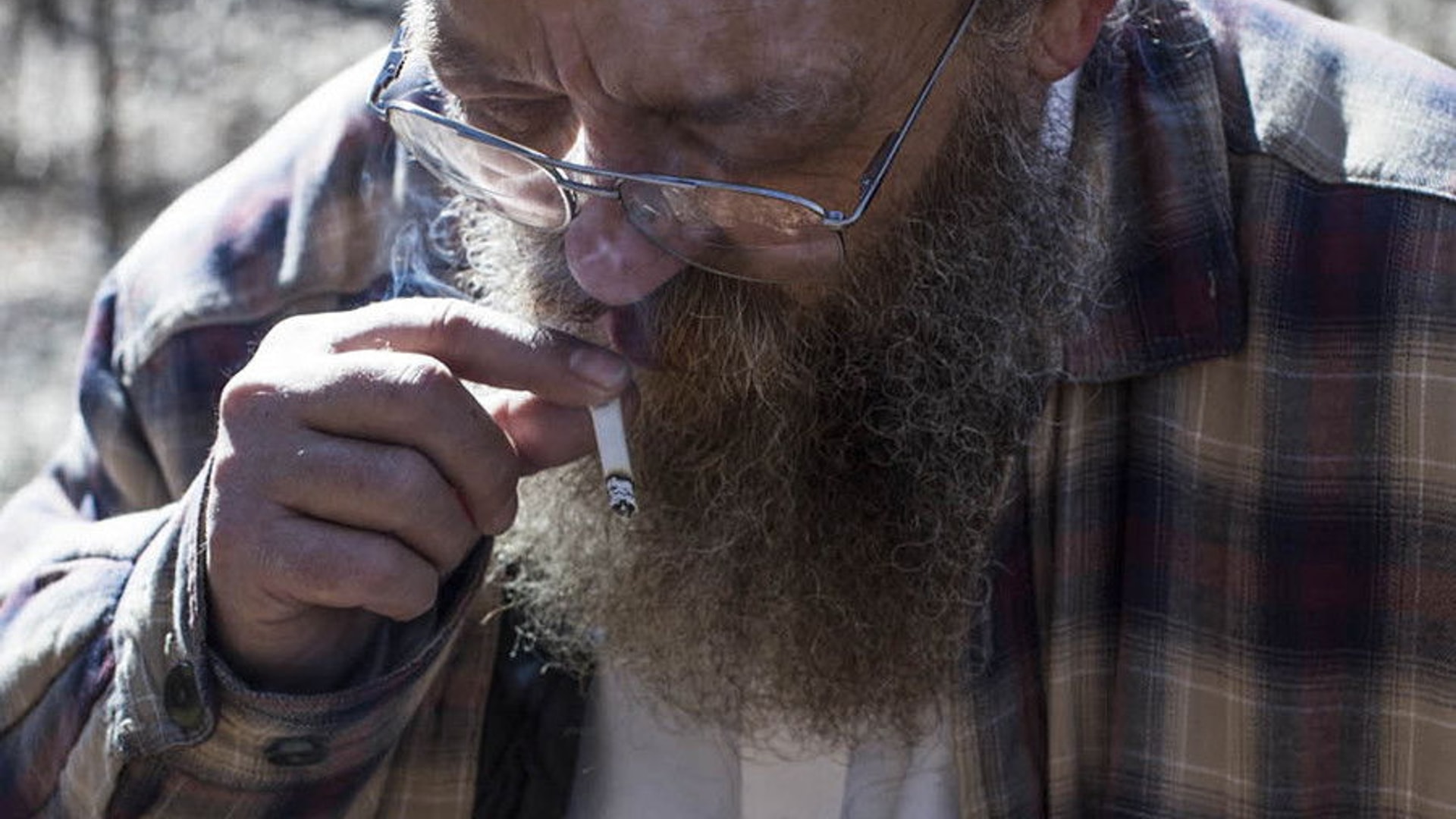 Foto de Lazarus Lake