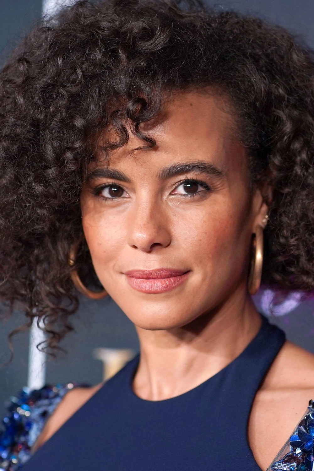 Foto de Parisa Fitz-Henley