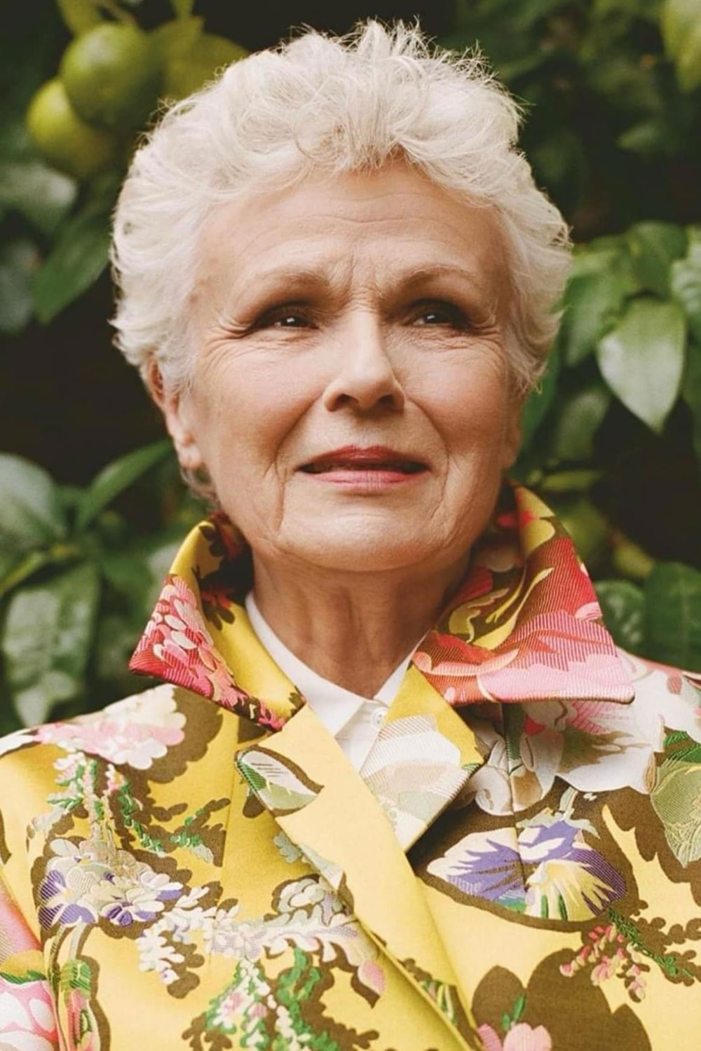Foto de Julie Walters