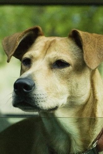 Foto de Lucy
