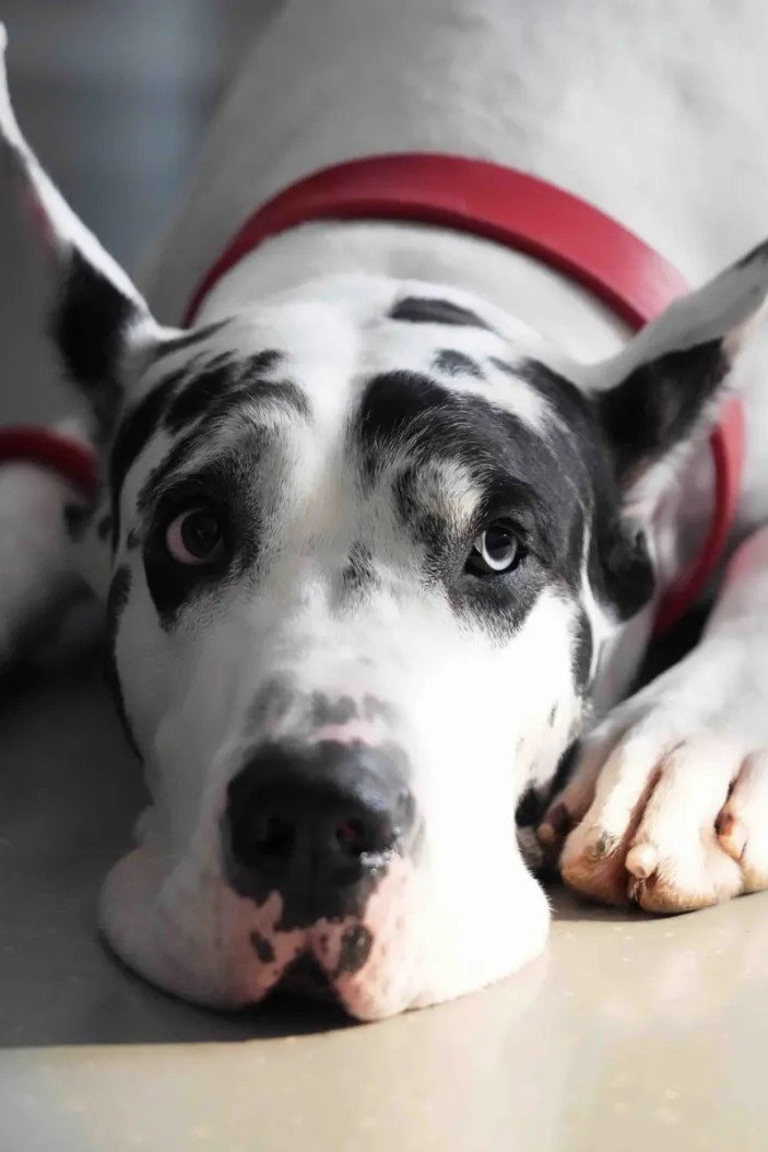 Foto de Bing