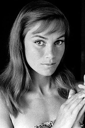 Foto de Estella Blain