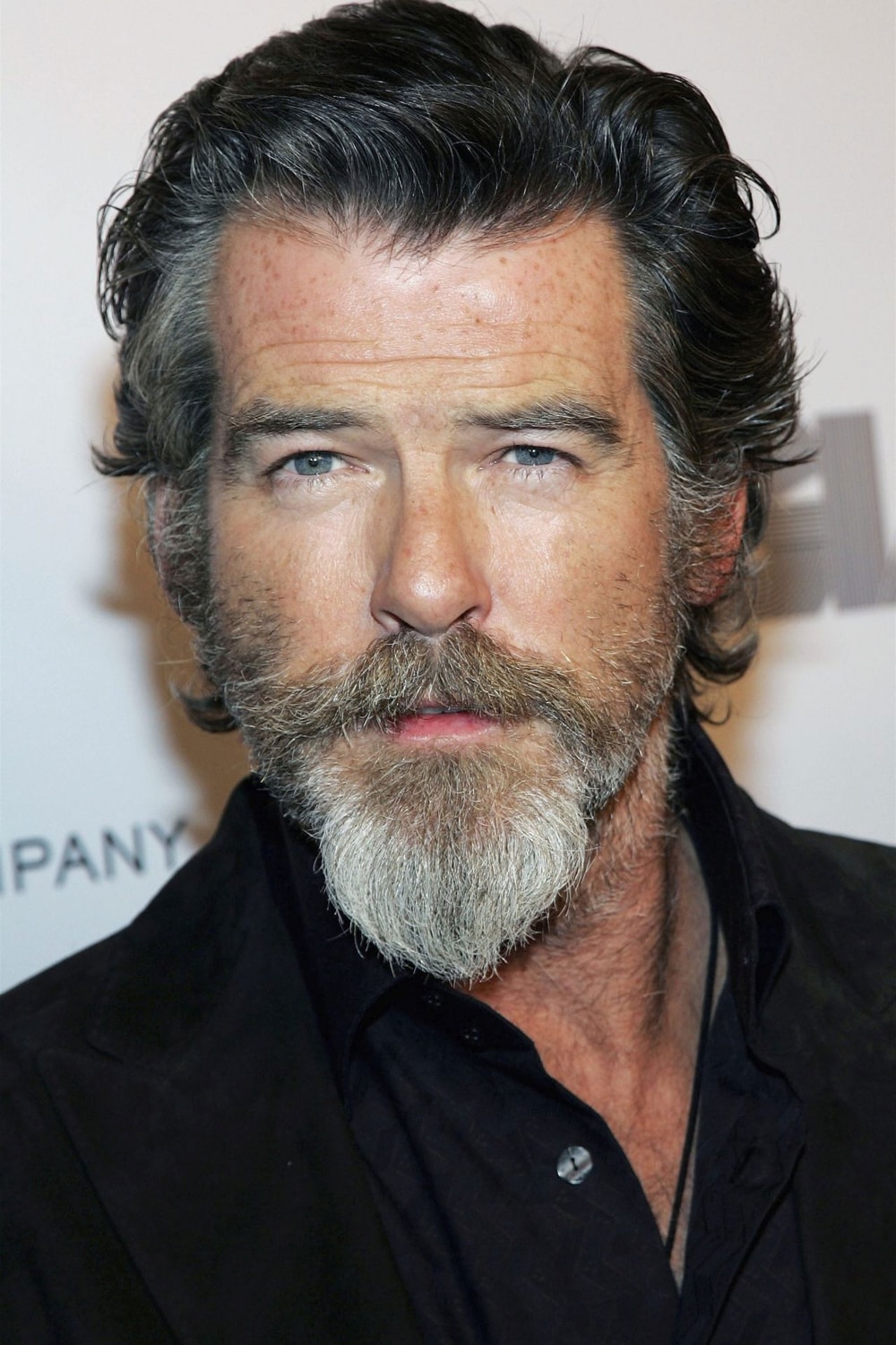 Foto de Pierce Brosnan