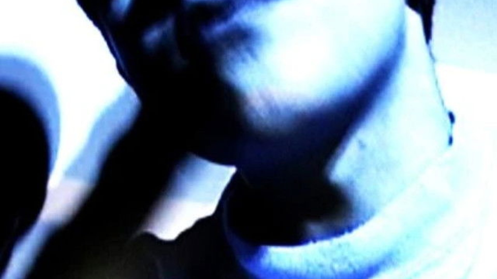 Foto de Aidan Zamiri