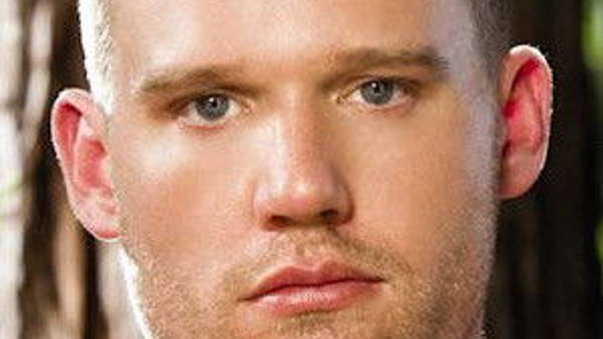 Foto de Steven Daigle