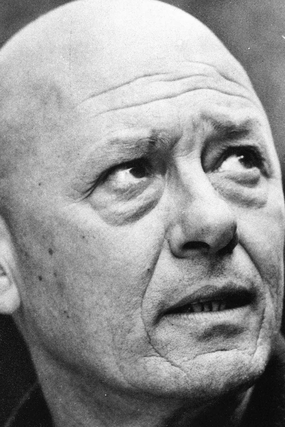 Foto de Nicola Morelli