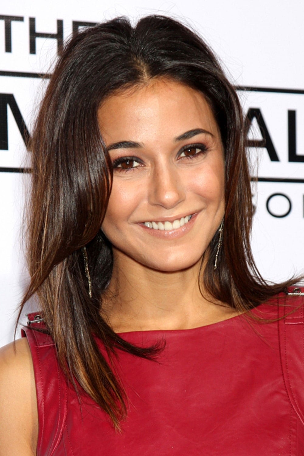 Foto de Emmanuelle Chriqui