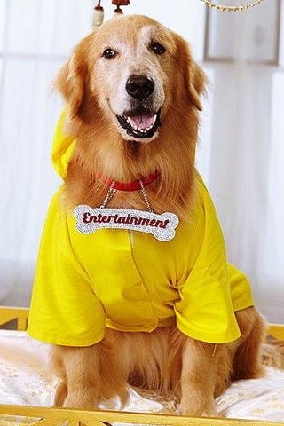 Foto de Junior