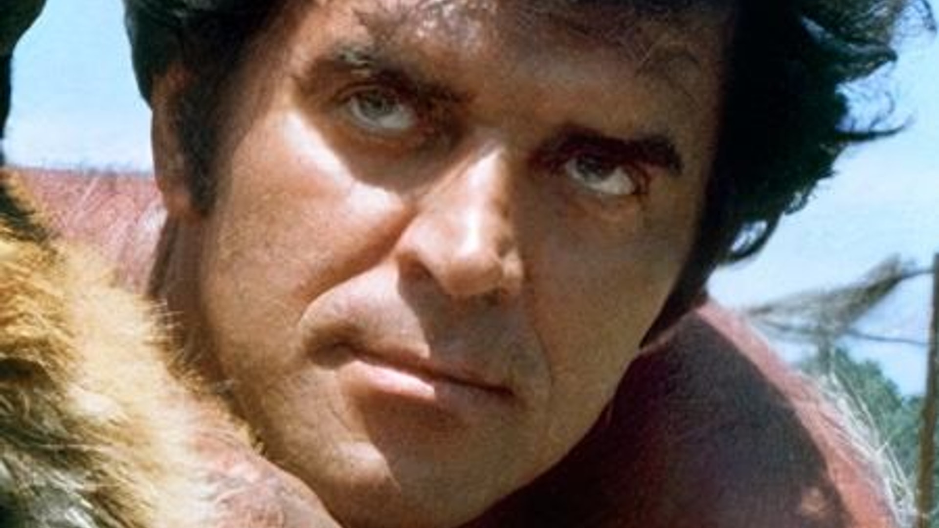 Foto de Steve Hawkes