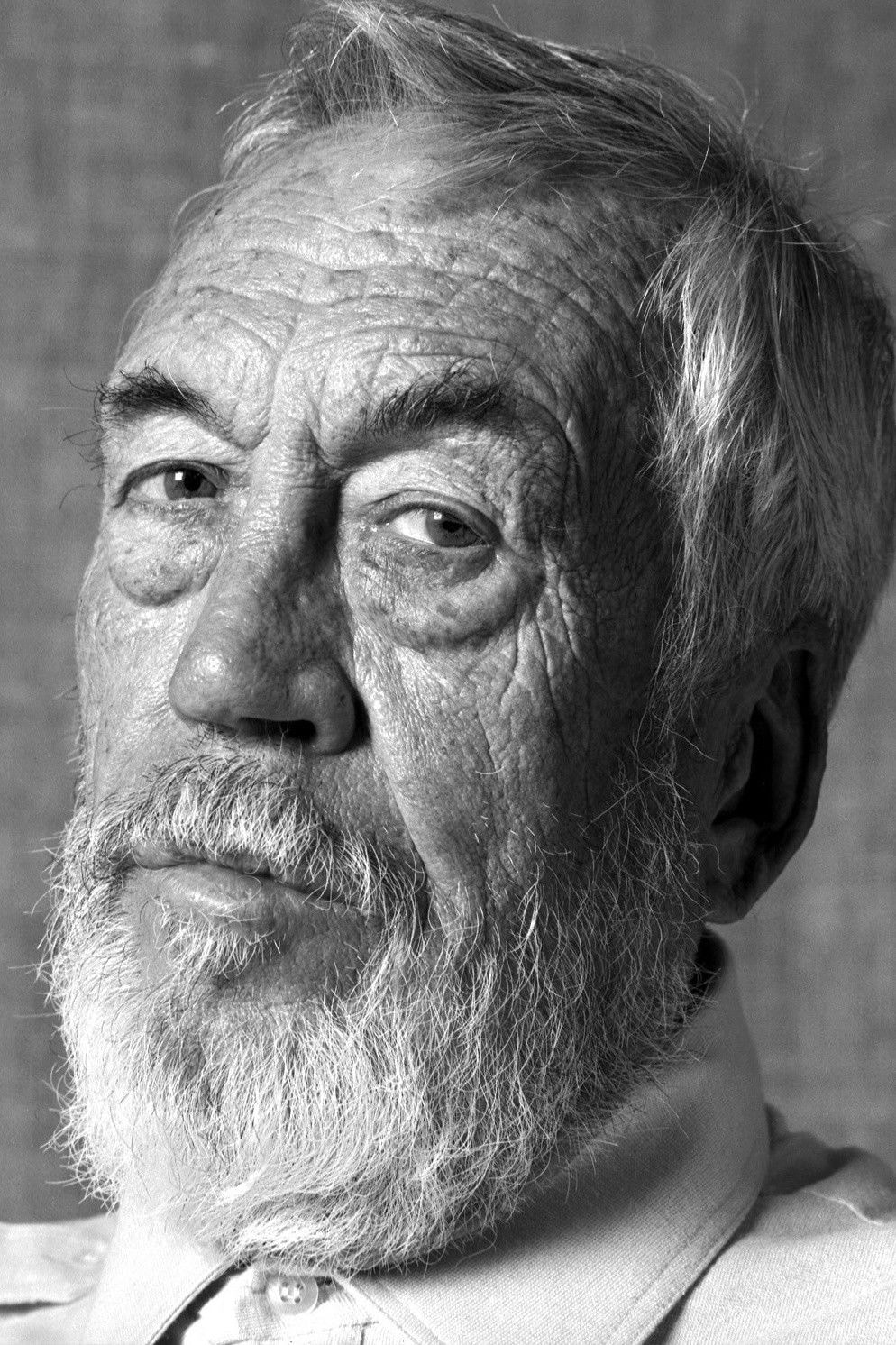 Foto de John Huston