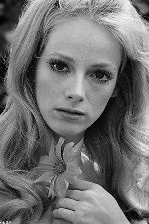 Foto de Sondra Locke