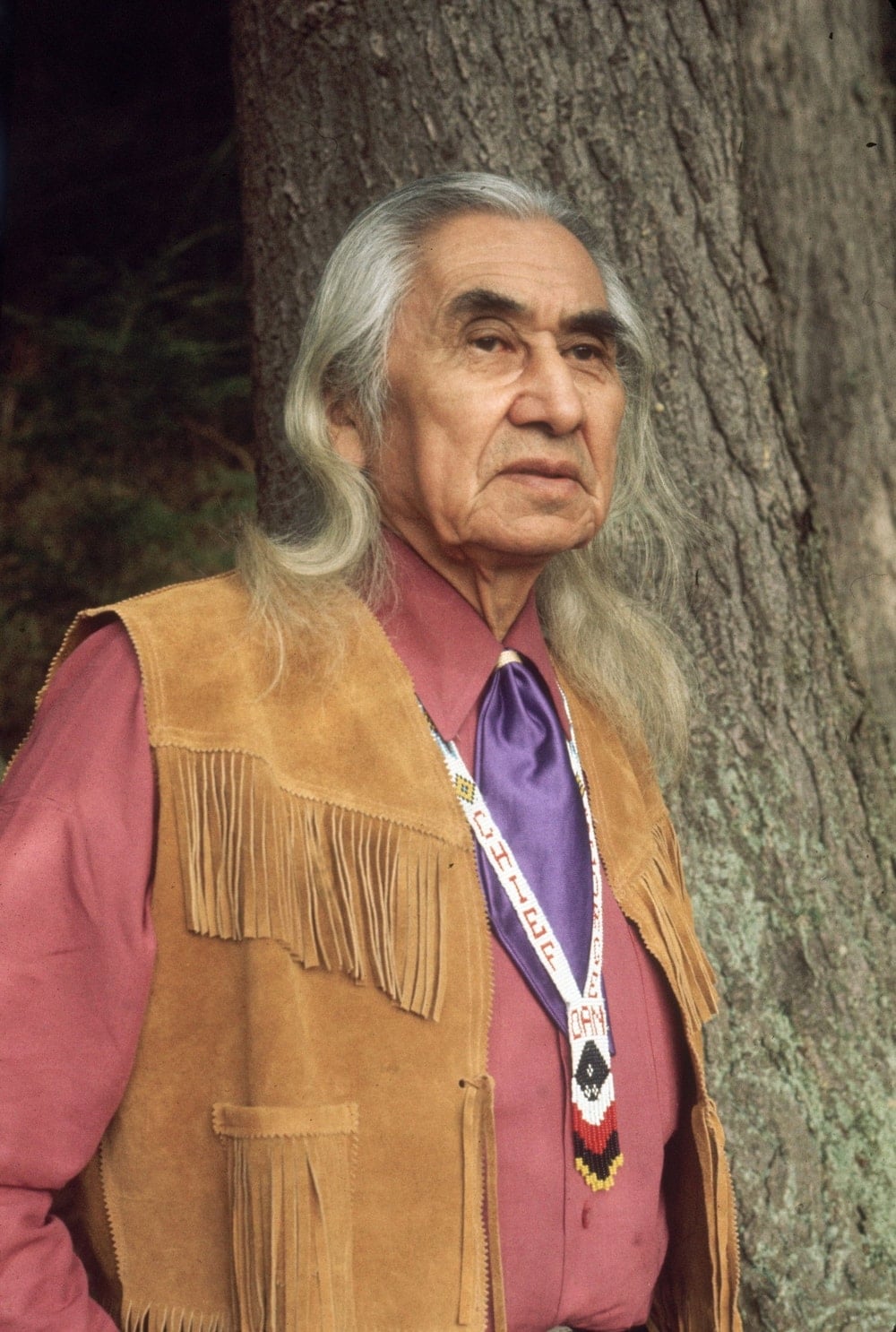 Foto de Chief Dan George