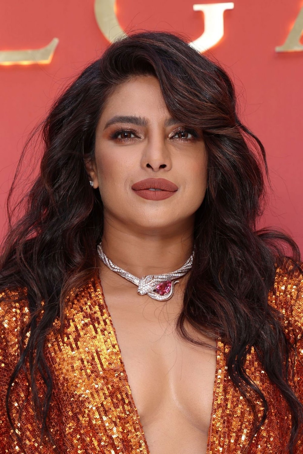 Foto de Priyanka Chopra Jonas