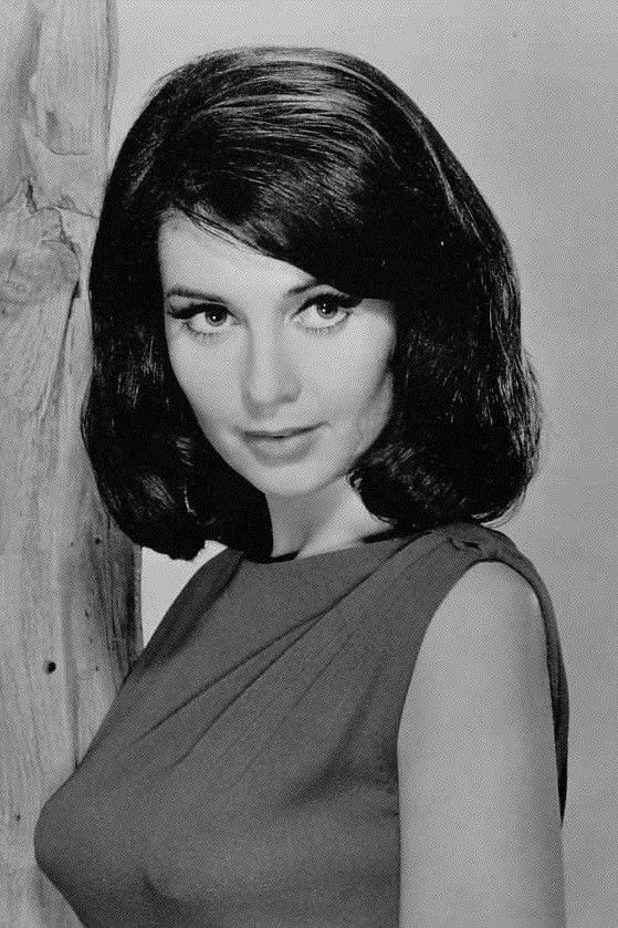 Foto de Anjanette Comer