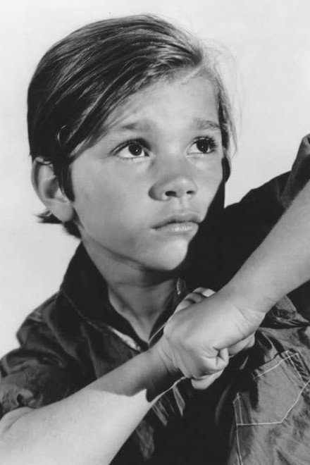 Foto de Darryl Hickman